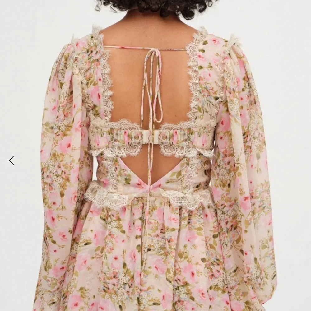 Emmaline babydoll Floral Lace-Trimmed bones bustier Dress - Picture 5 of 5